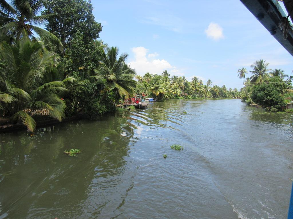 Villa Marari Dreamz Alappuzha Habitación foto