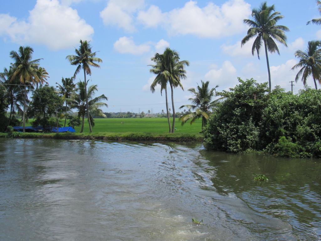 Villa Marari Dreamz Alappuzha Habitación foto